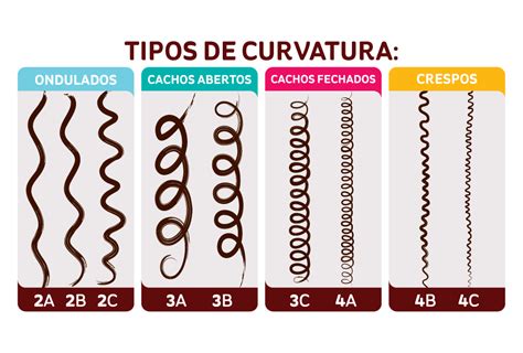 tipos de chochos|Tipos de cachos: entenda curvatura e cuidados